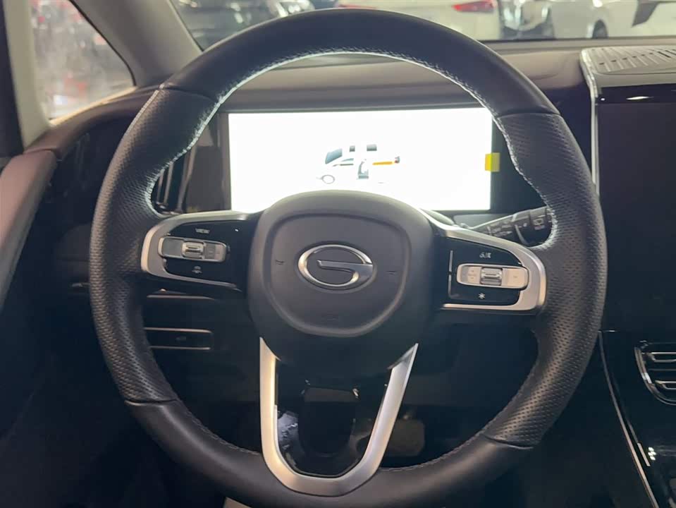 Trumpchi Trumpchi M8