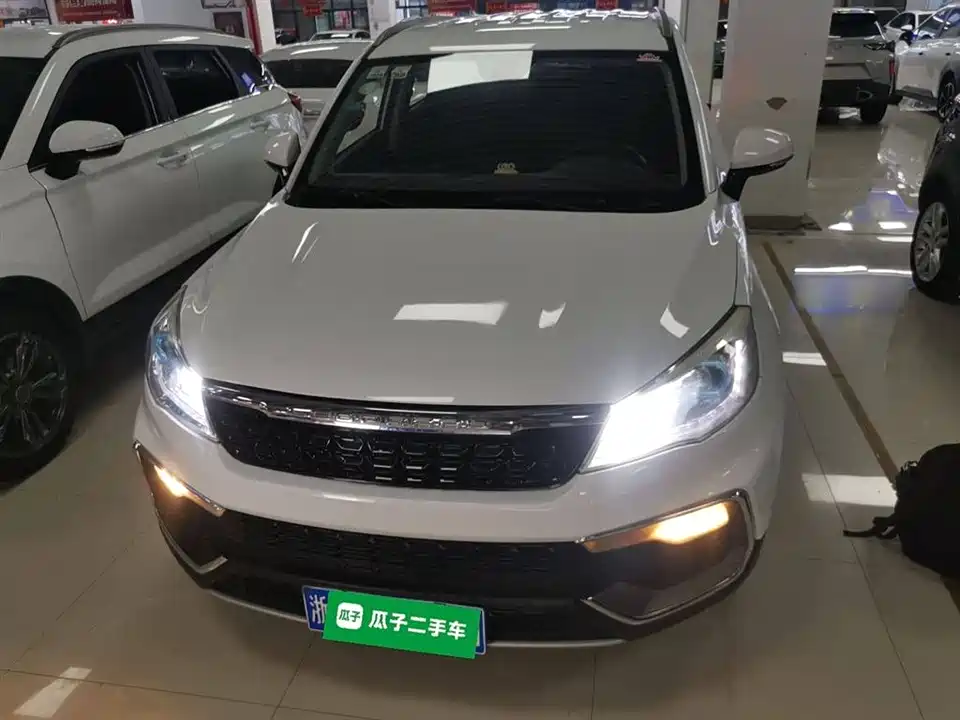 Leopaard Cheetah CS9