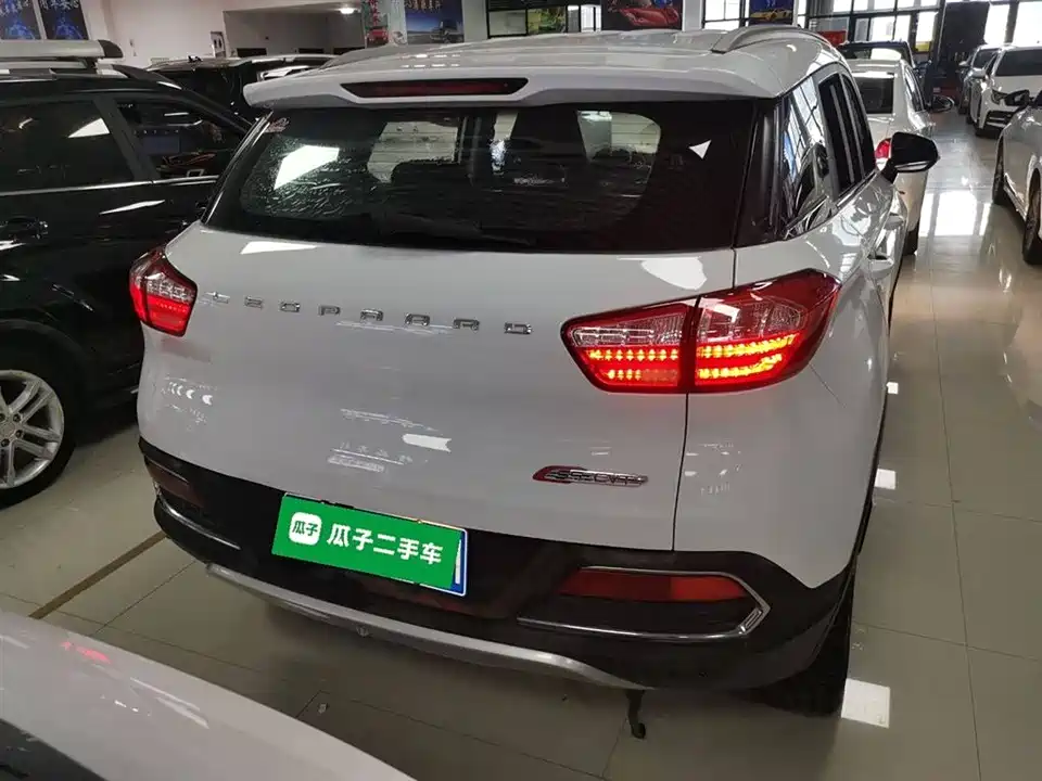 Leopaard Cheetah CS9