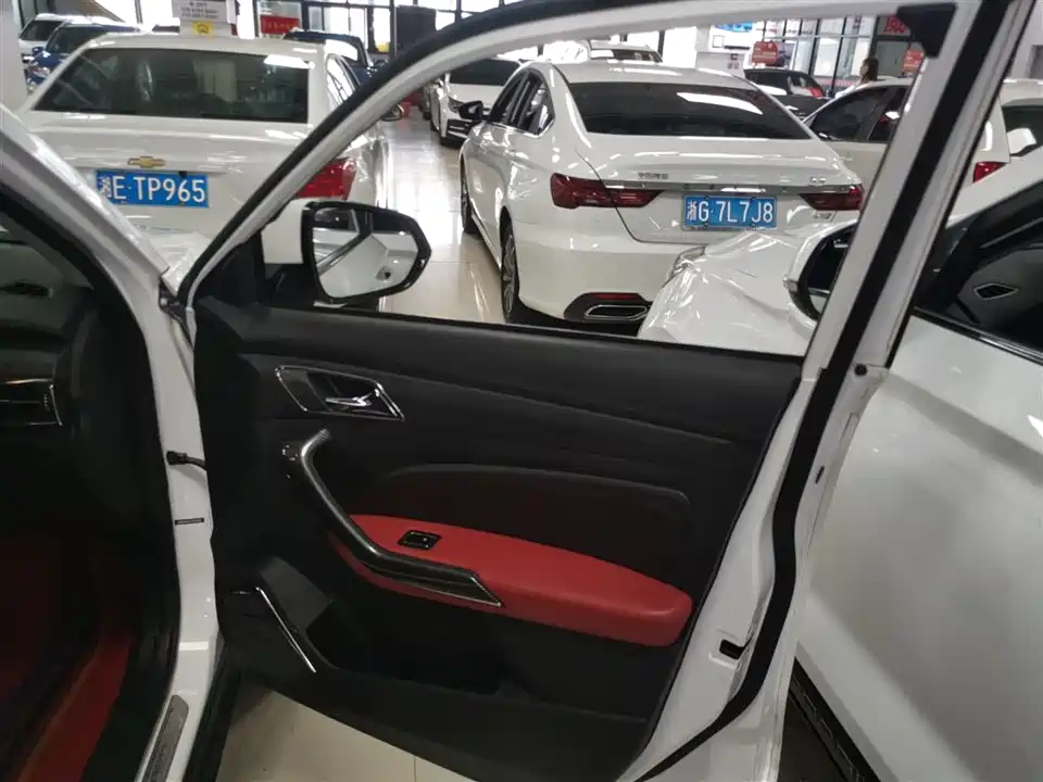 Leopaard Cheetah CS9