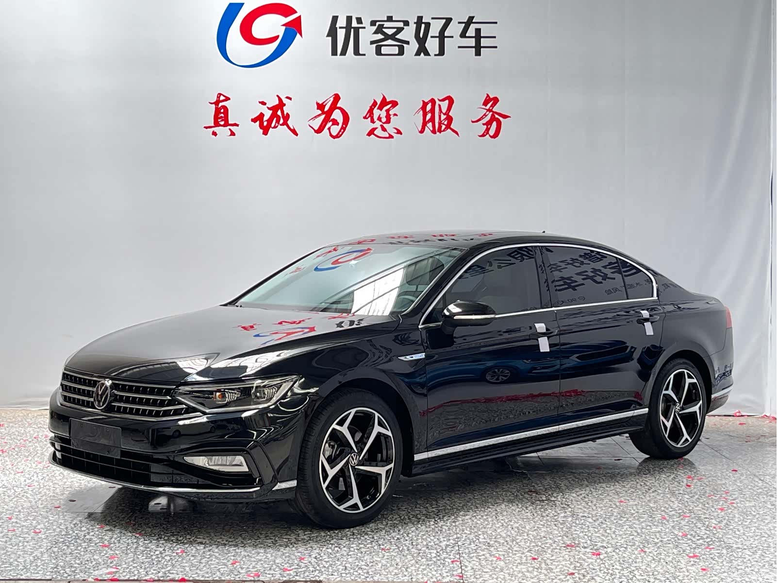 Volkswagen Magotan, 2023 1