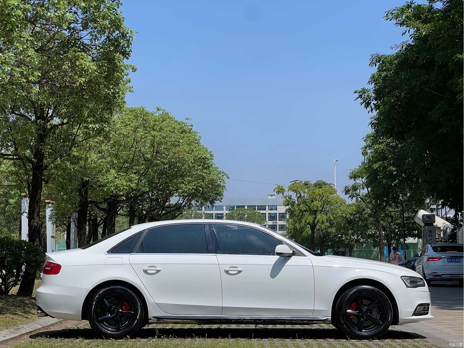 Audi A4L, 2014 все фото