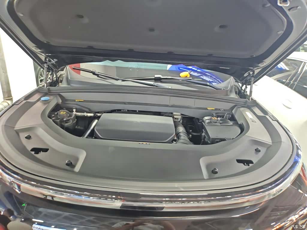 Li Auto L9, 2023 20