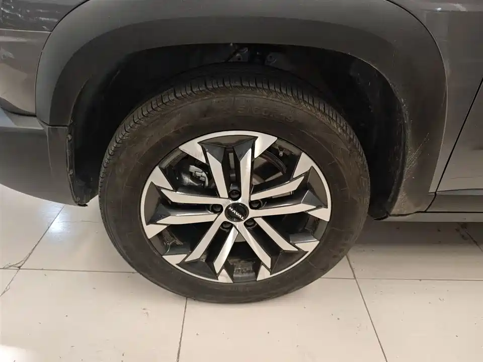 Haval Big dog