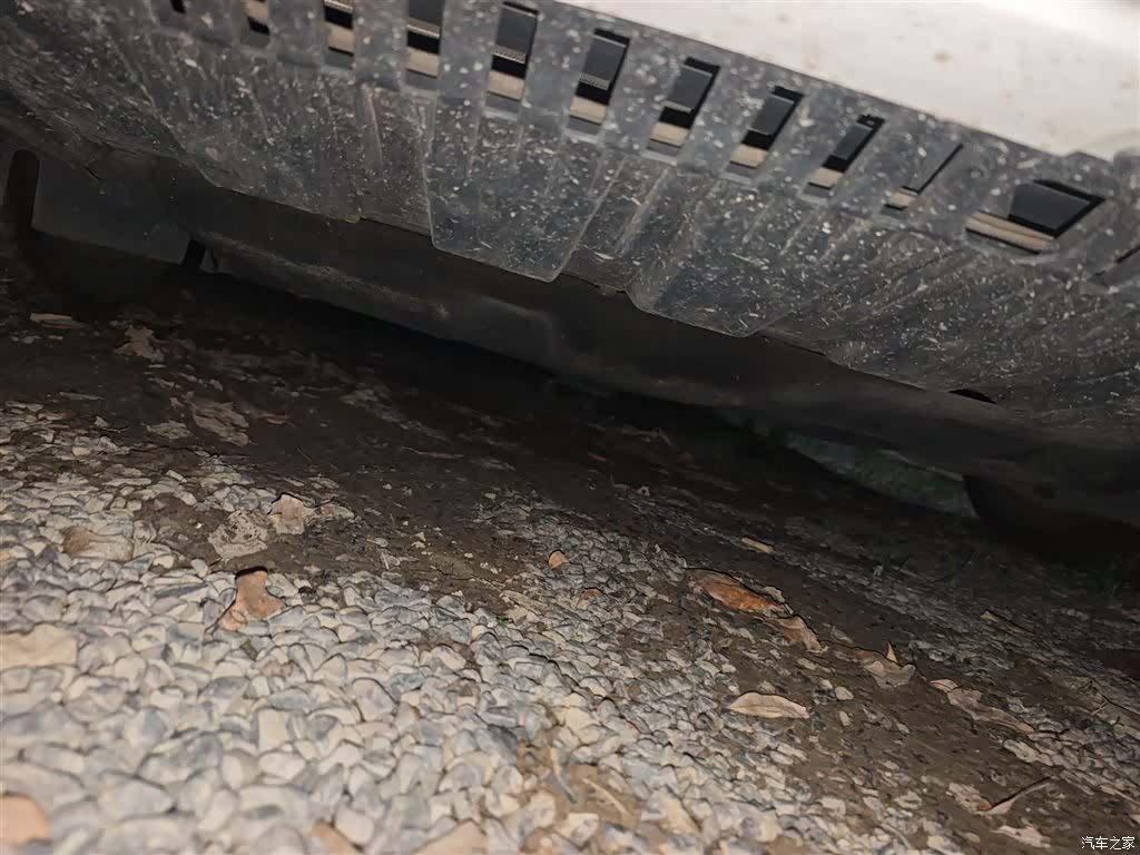 Ford VI, 2019 23