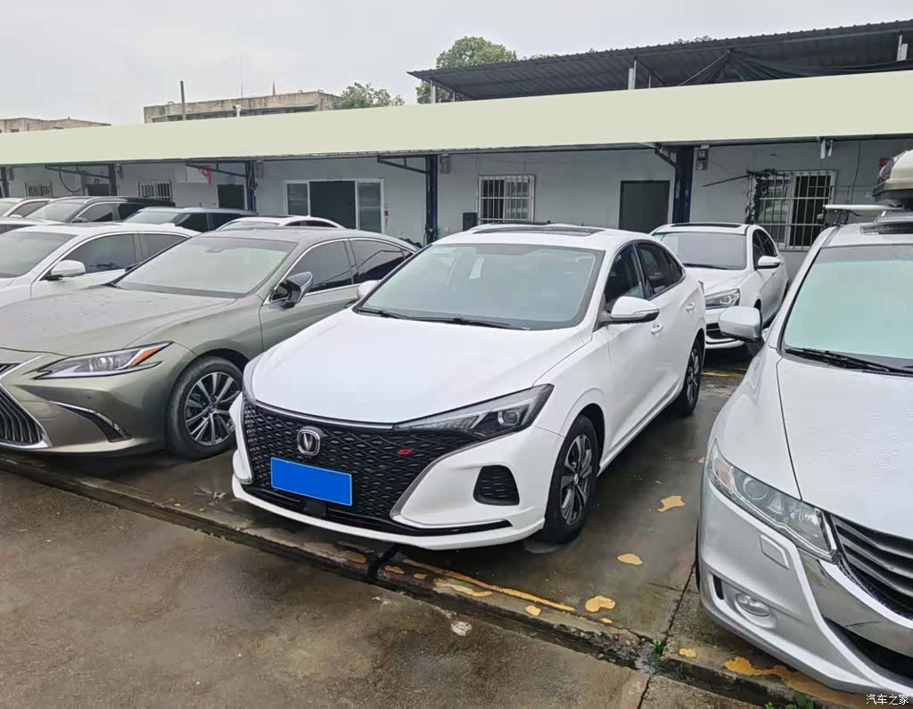 Changan Eado, 2020 1