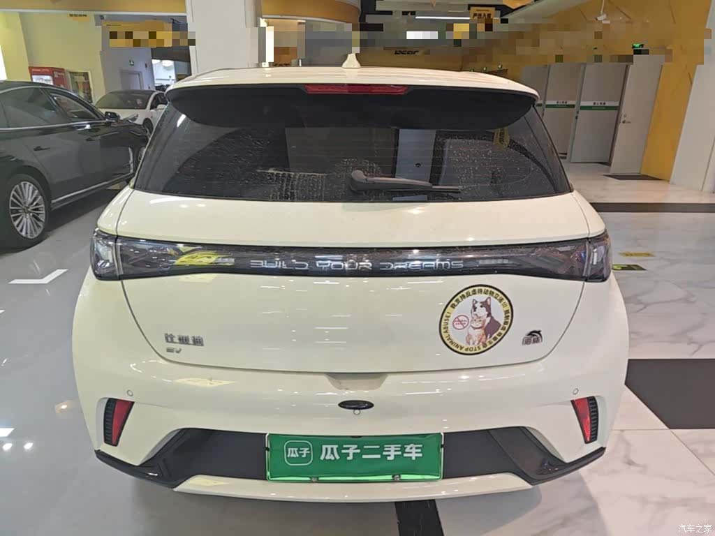 BYD Dolphin, 2023 6