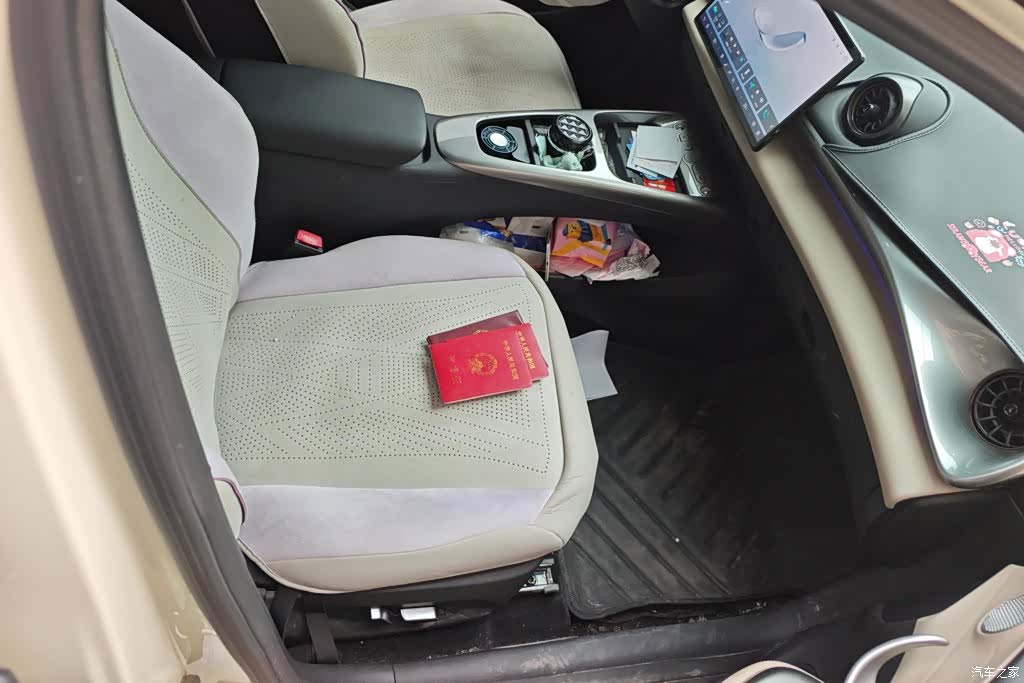 BYD Dolphin, 2025 8
