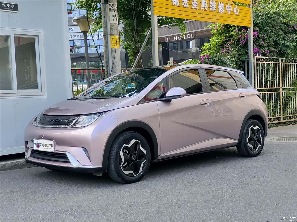 BYD Dolphin, 2022 1