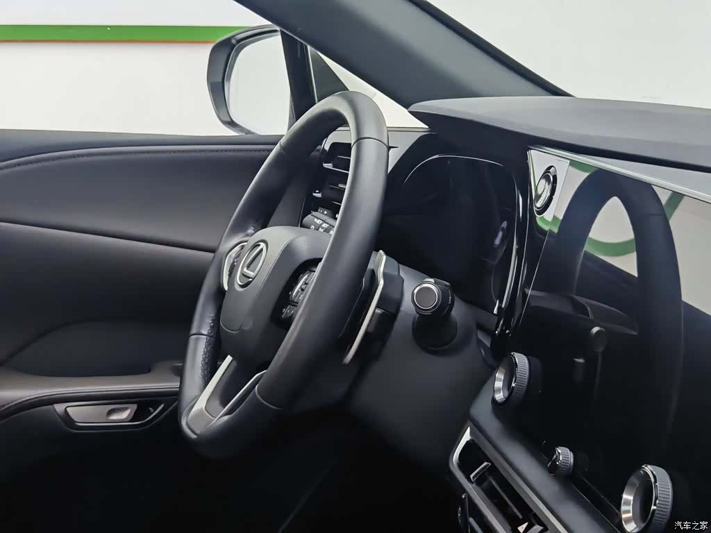 Lexus RX, 2024 22