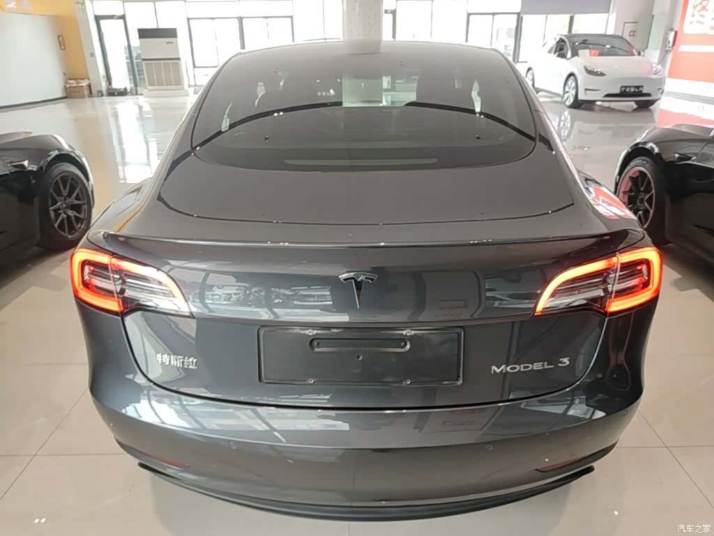 Tesla Model 3, 2021 6