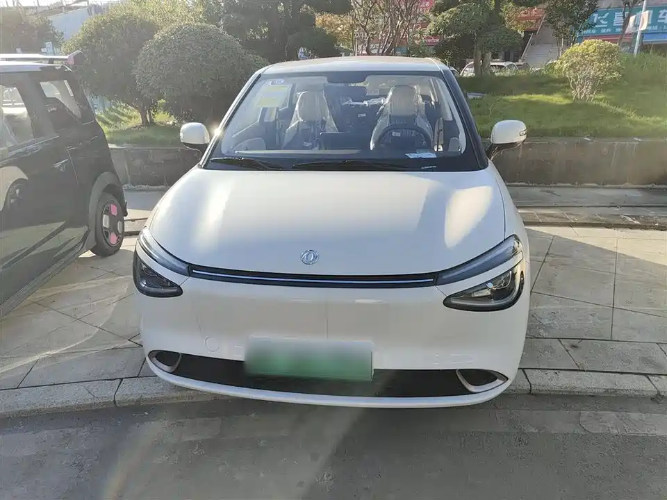 Dongfeng Nammi Nano 01