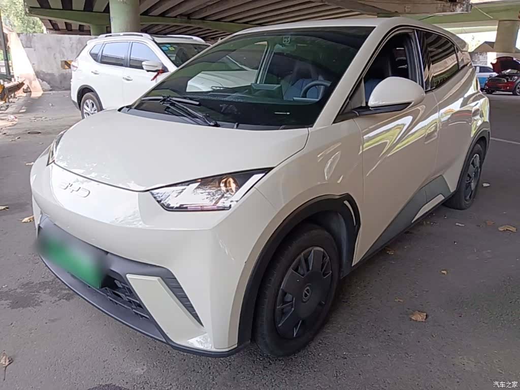 BYD Seagull, 2024 1
