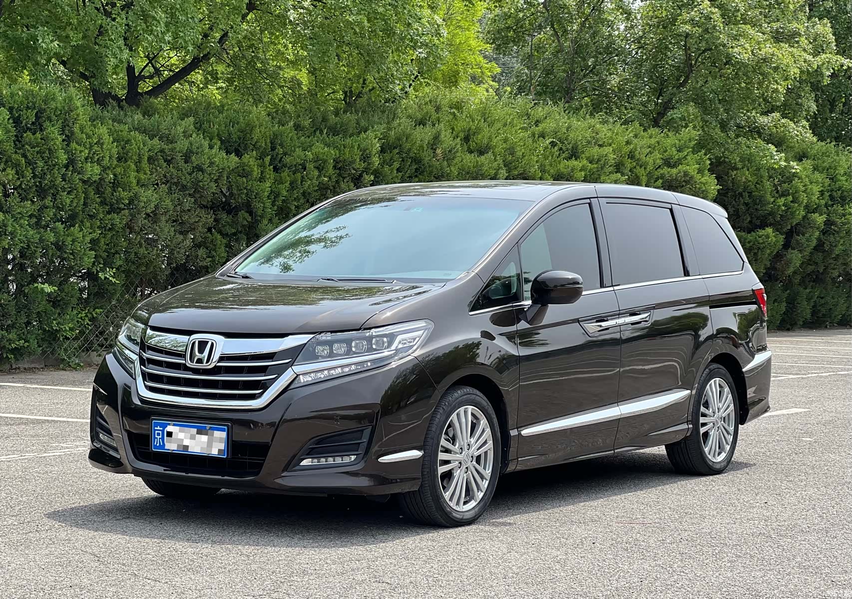 Honda Elysion, 2019 1