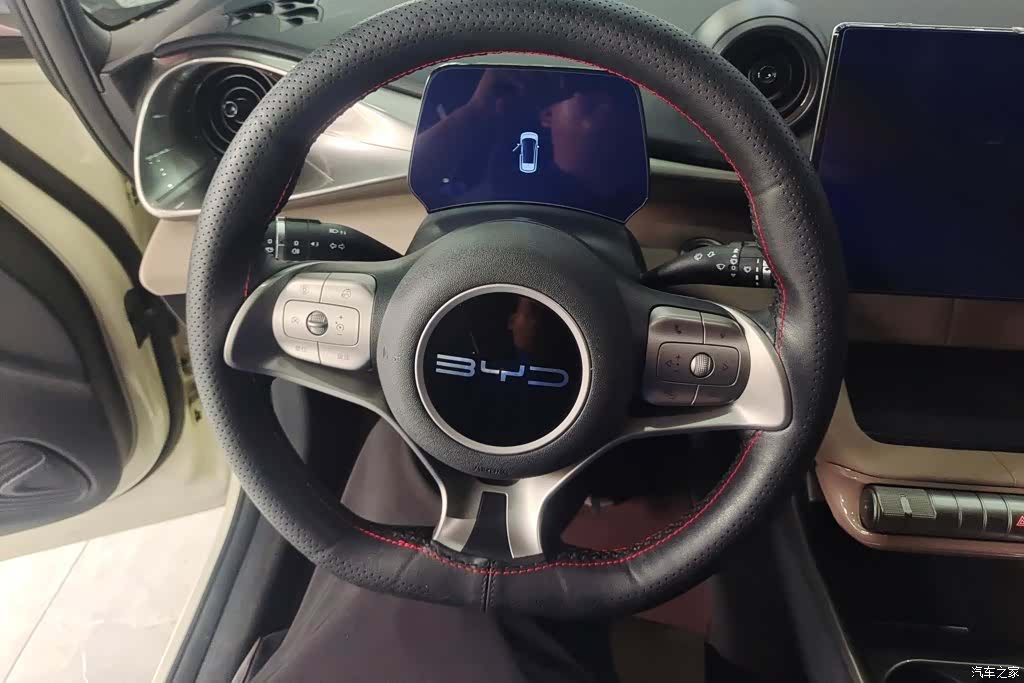 BYD Dolphin, 2023 15