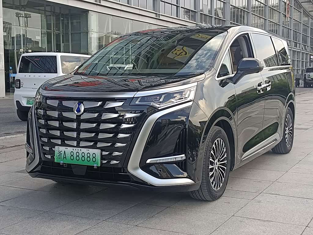 Denza D9