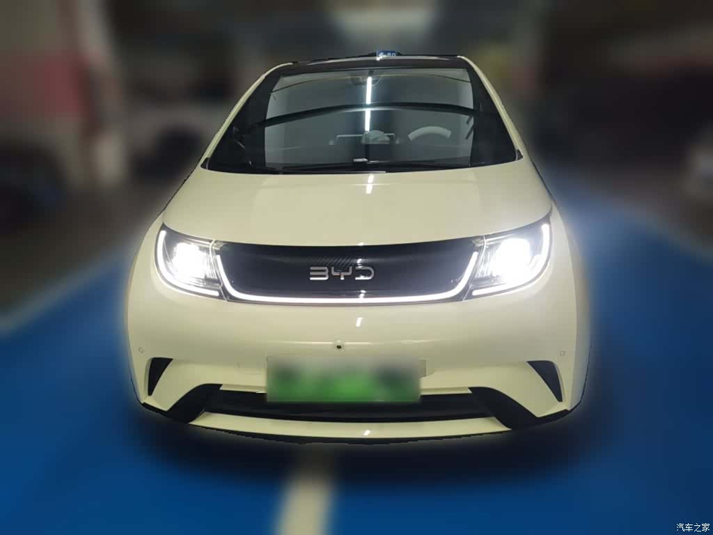 BYD Dolphin, 2024 24