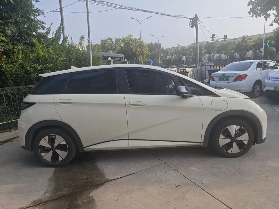 BYD dolphin