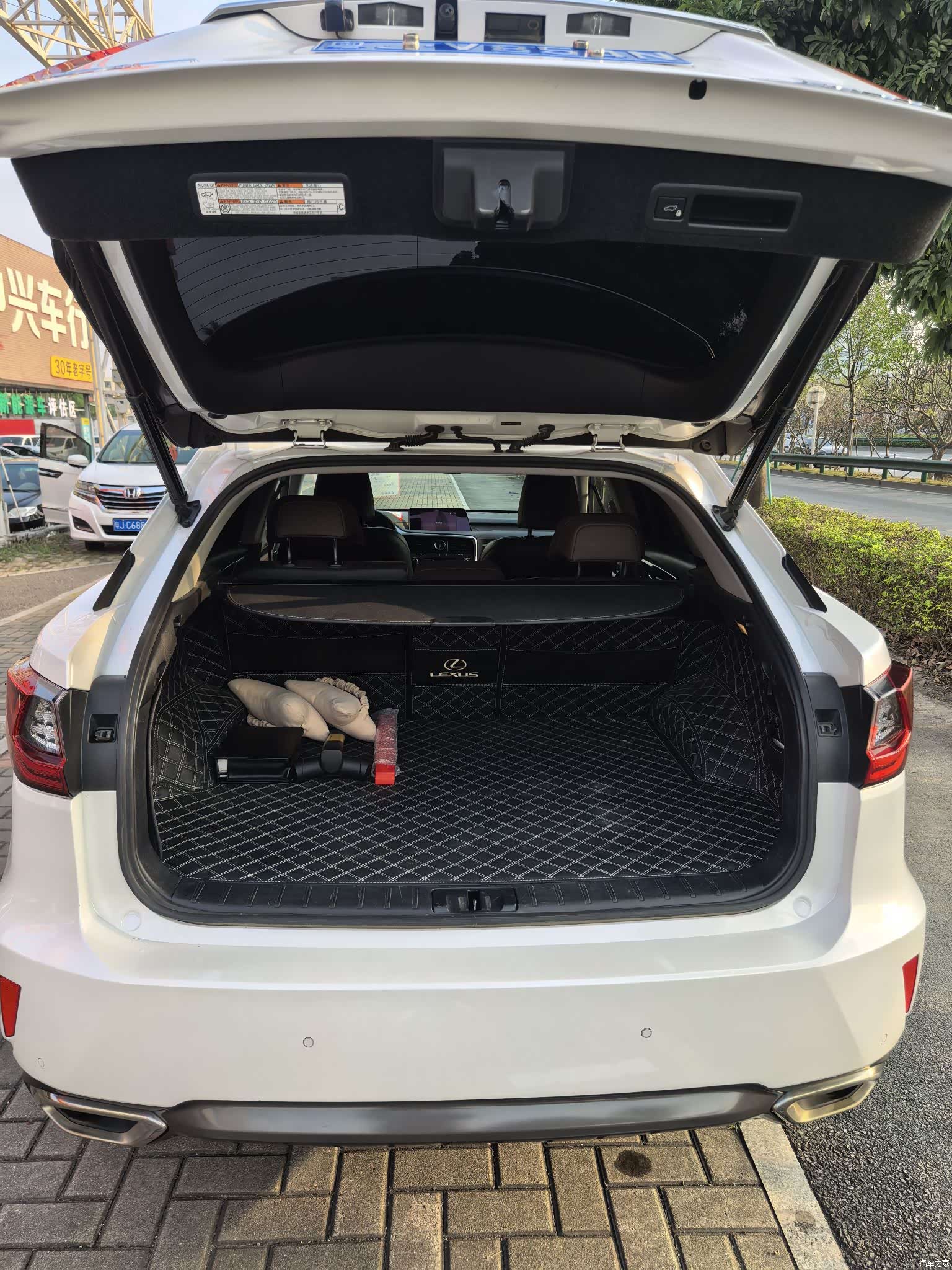 Lexus RX, 2019 10
