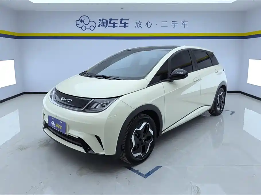 BYD dolphin