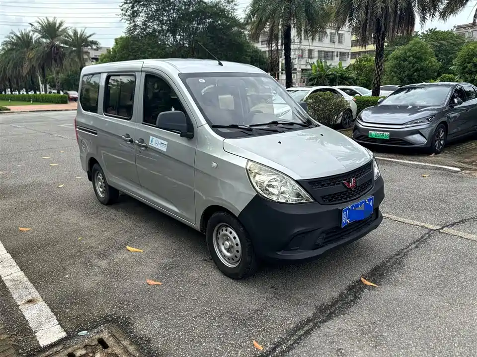 Wuling Wuling Light V
