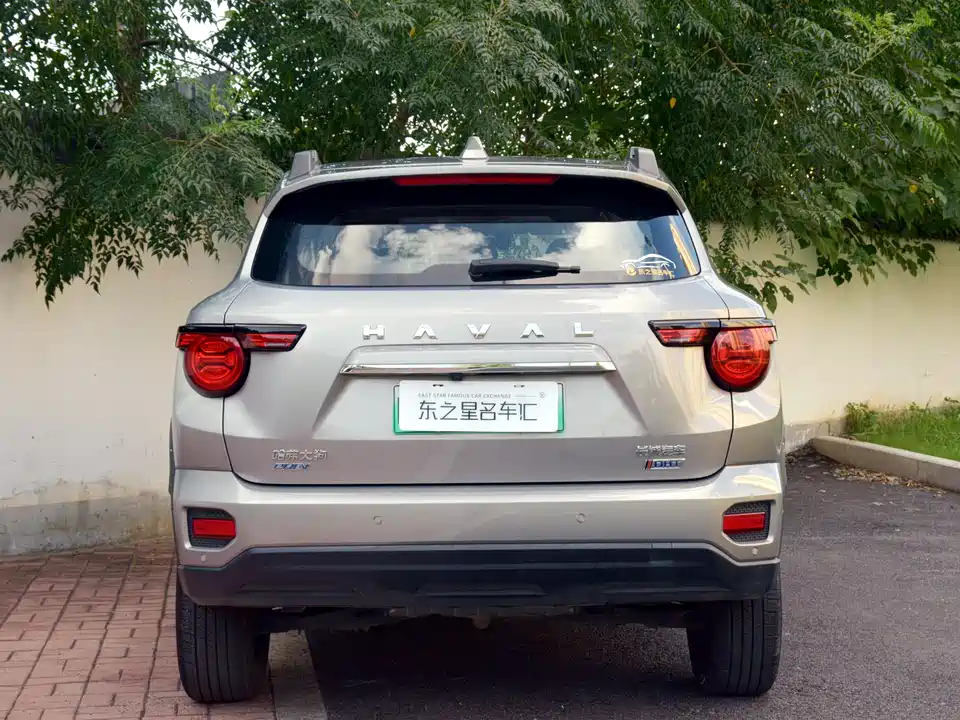 Haval Second-generation big dog