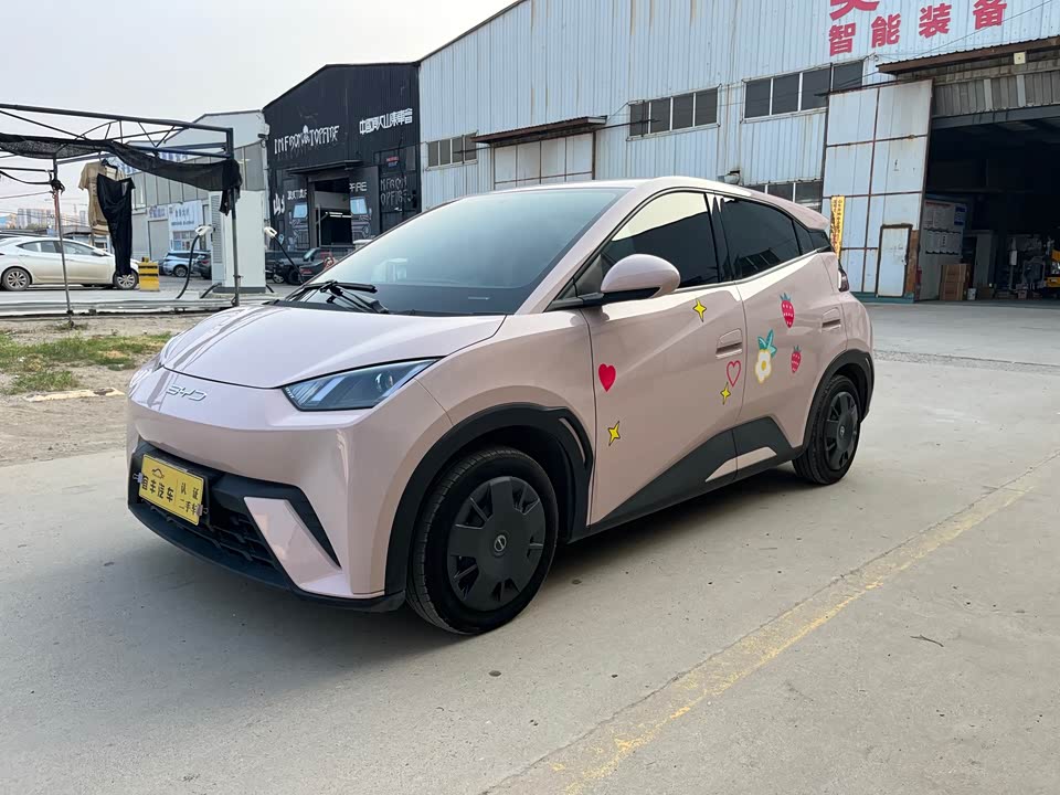 BYD Seagull