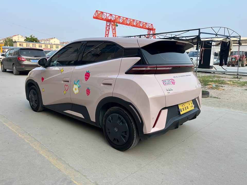 BYD Seagull