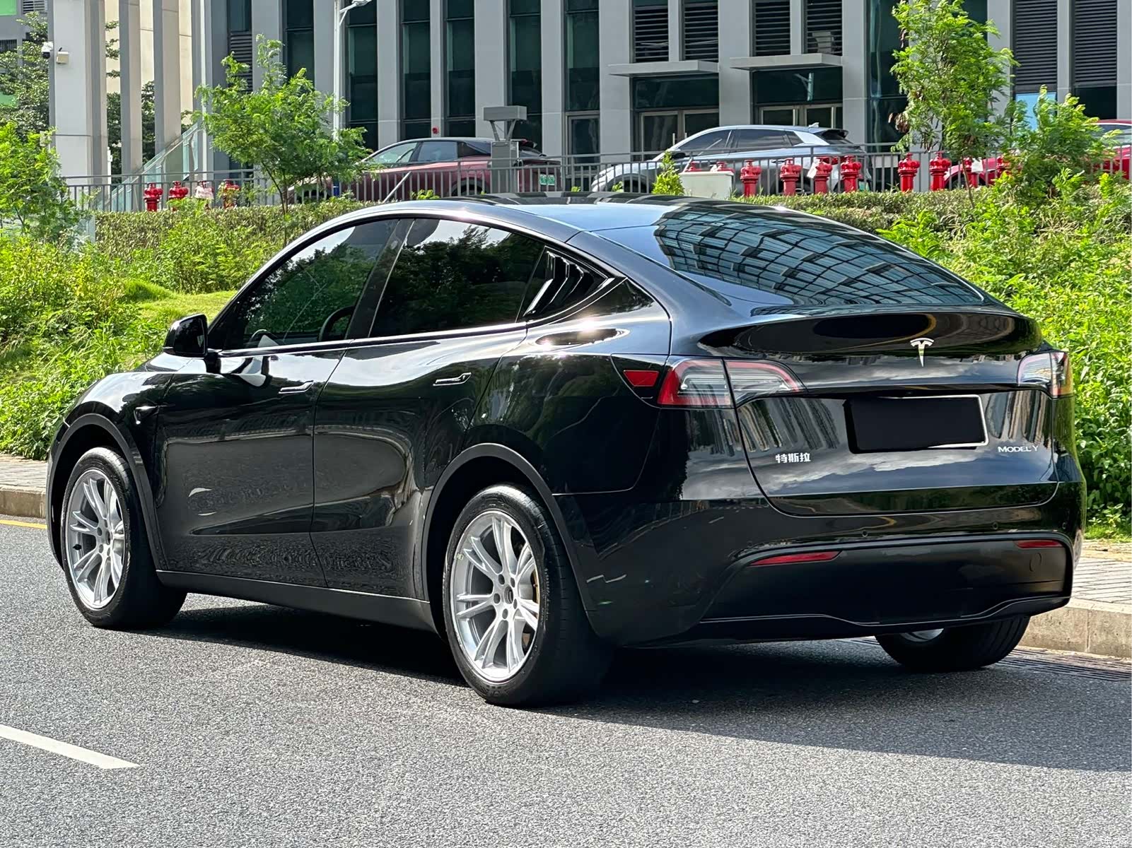 Tesla Model Y, 2023 все фото
