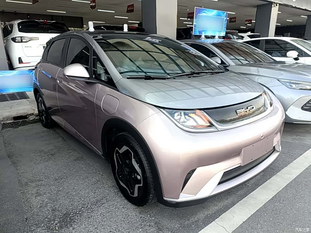 BYD Dolphin, 2022 4