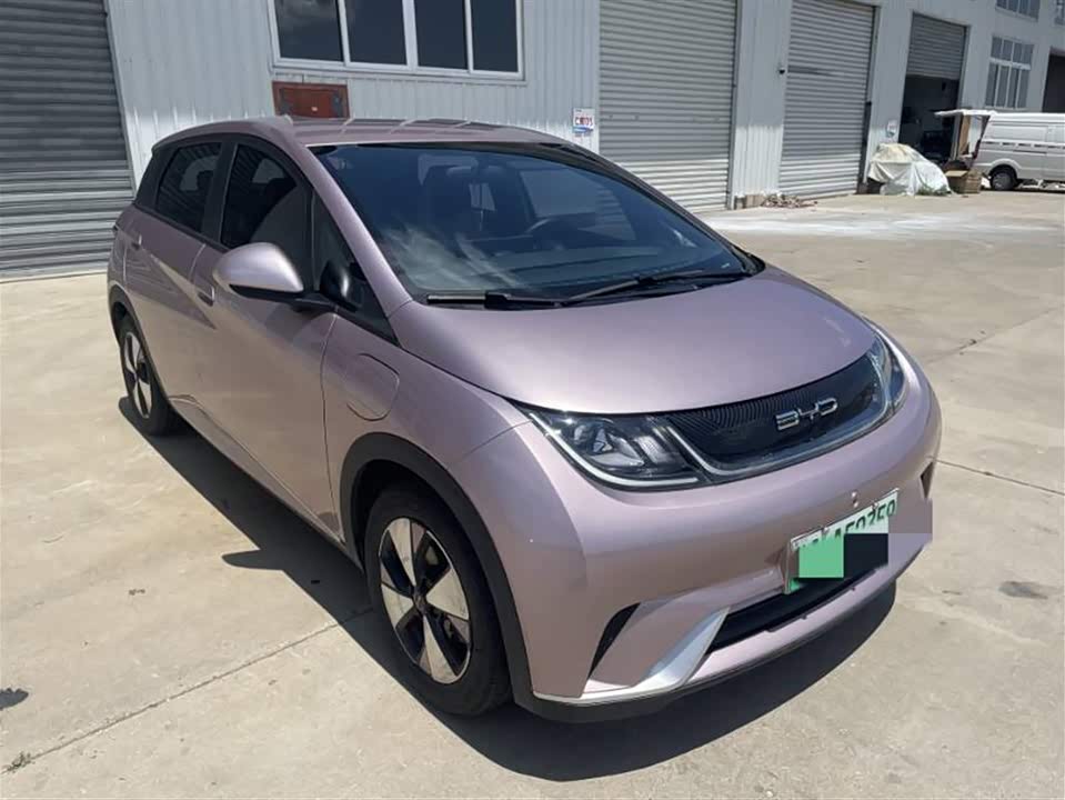 BYD dolphin