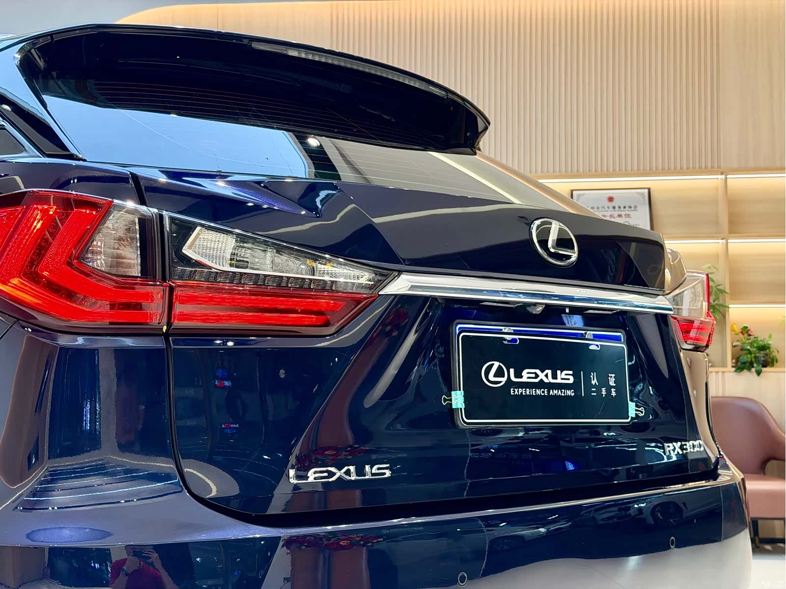 Lexus RX, 2018 20