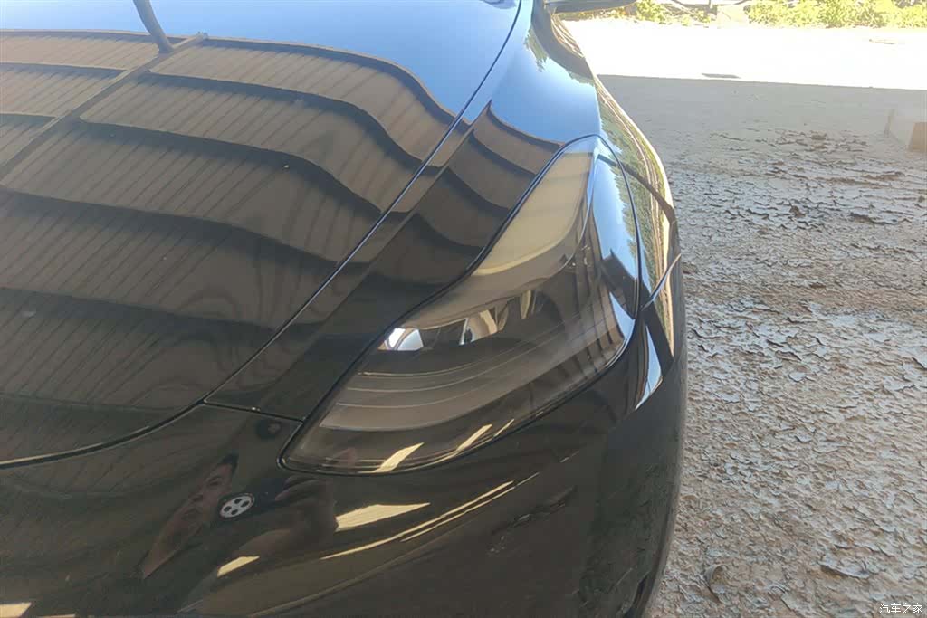 Tesla Model Y, 2023 все фото