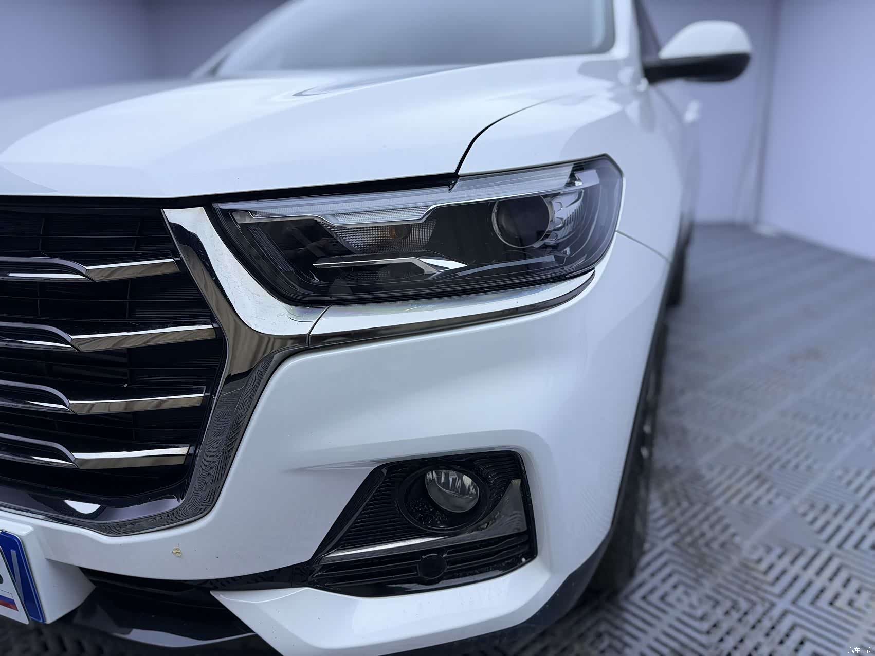 Haval H6, 2022 все фото