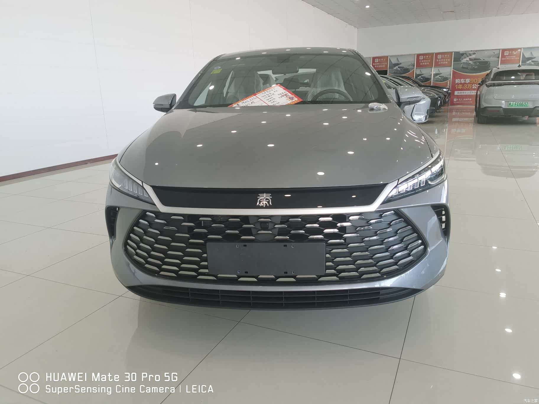 BYD Qin, 2026 2