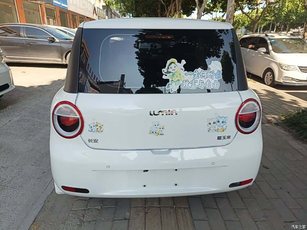 Changan Lumin, 2025 6