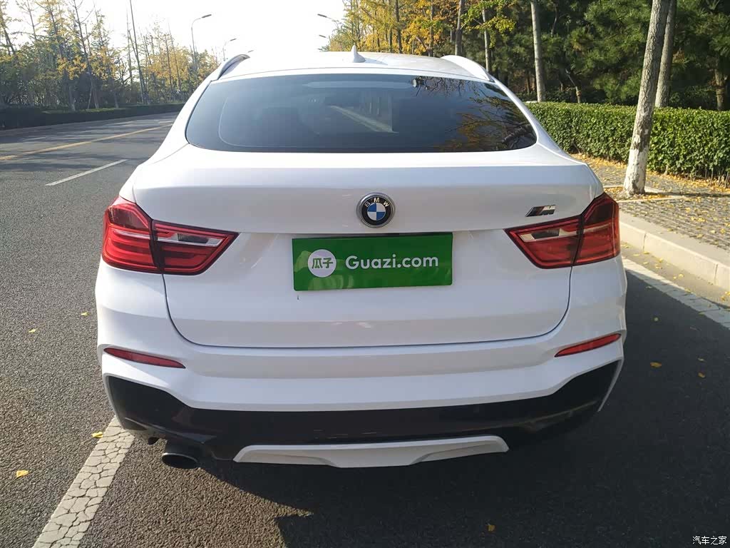 BMW X4, 2018 все фото
