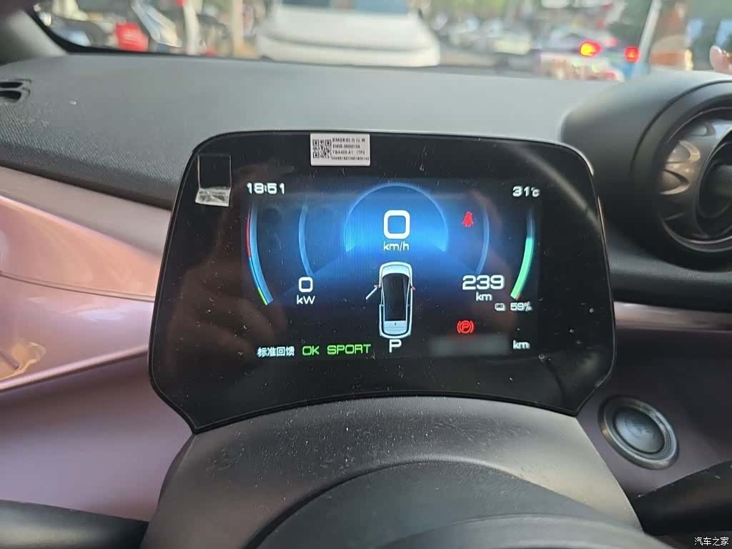 BYD Dolphin, 2021 4
