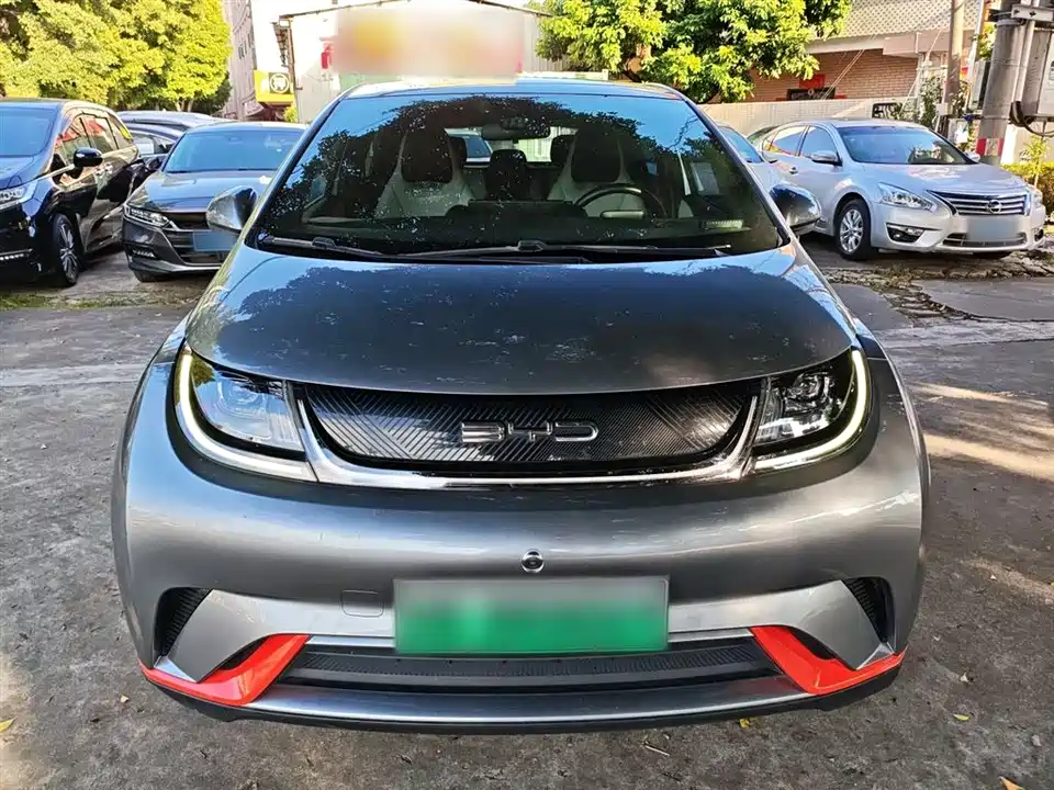 BYD dolphin