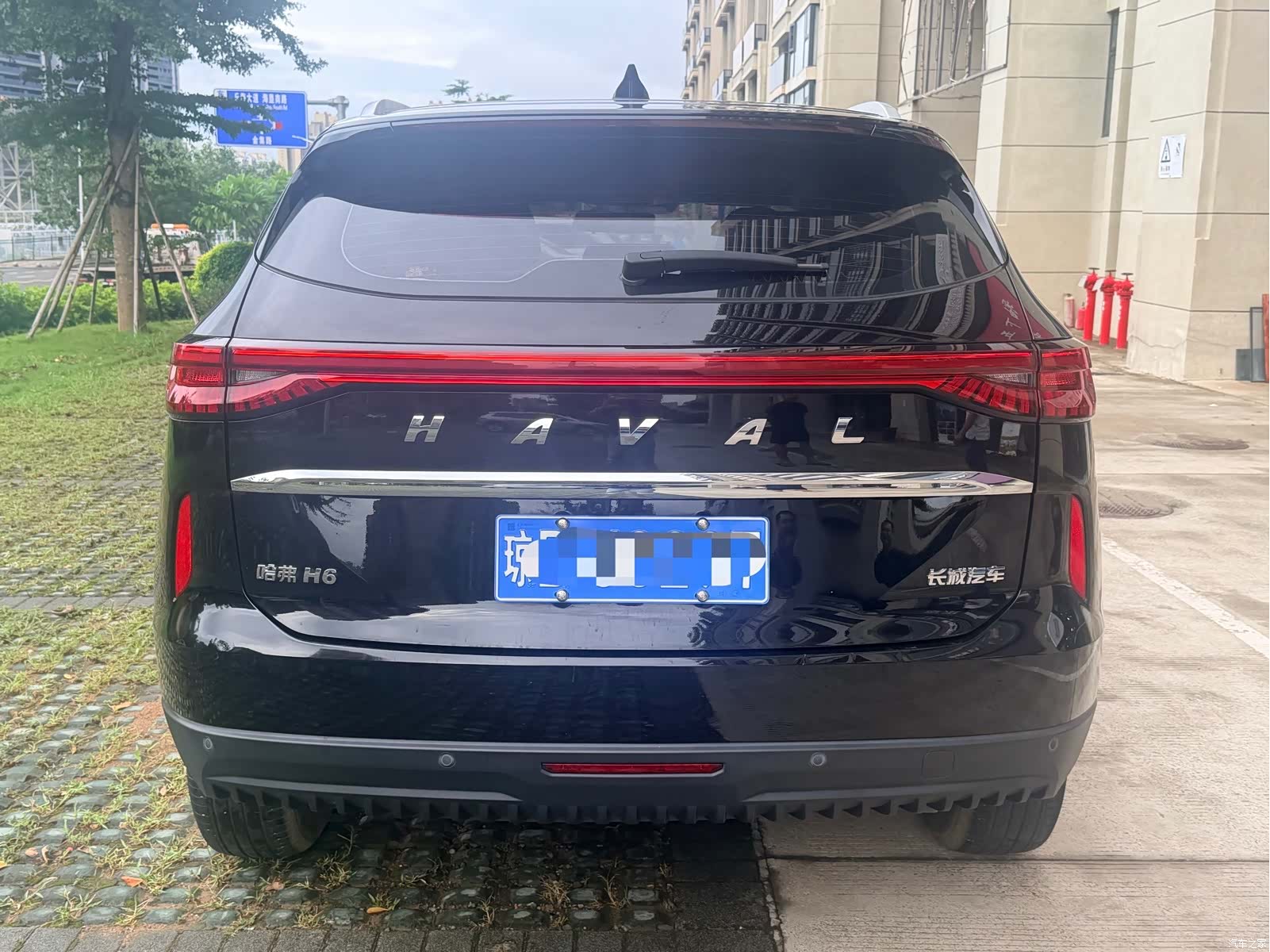 Haval H6, 2023 все фото