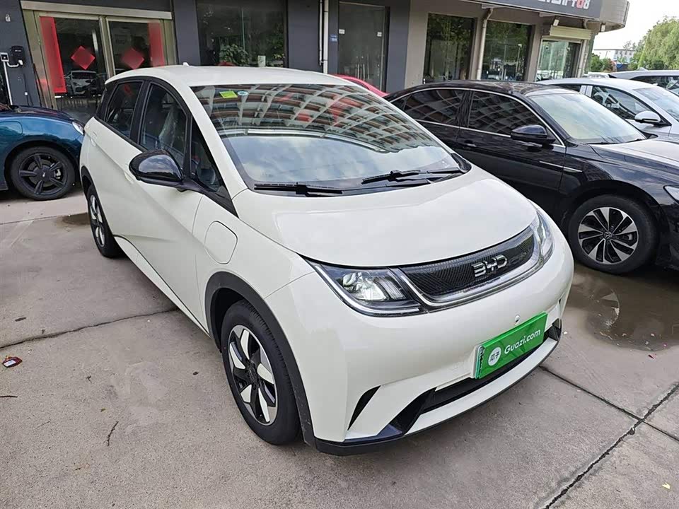 BYD dolphin