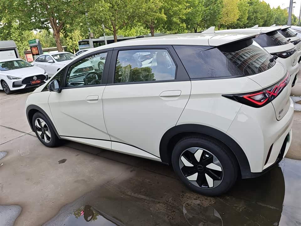 BYD dolphin