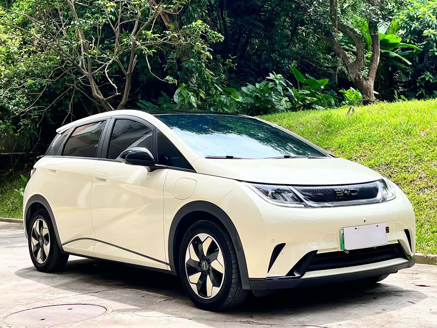 BYD Dolphin, 2024 3