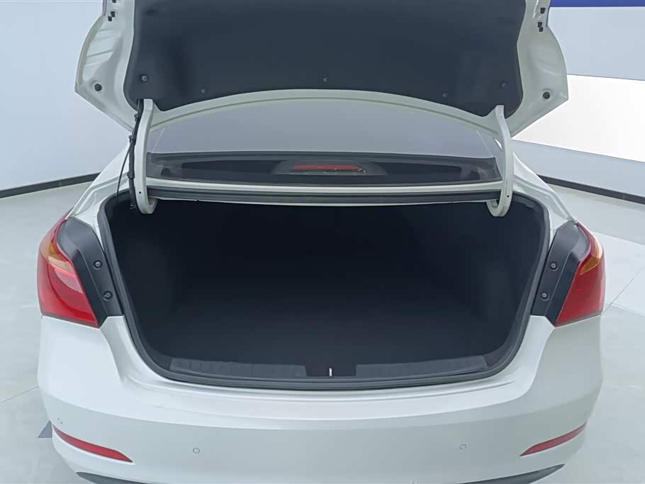 Hyundai Name picture