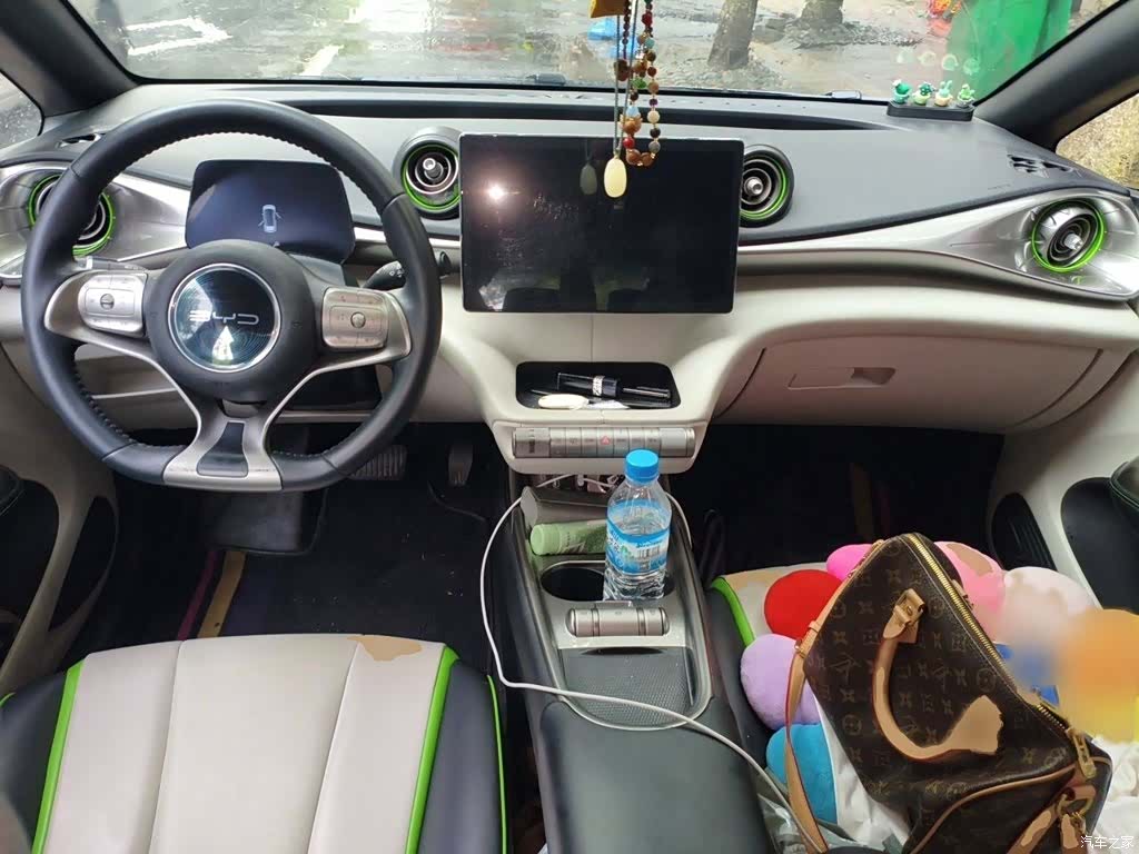 BYD Dolphin, 2022 13