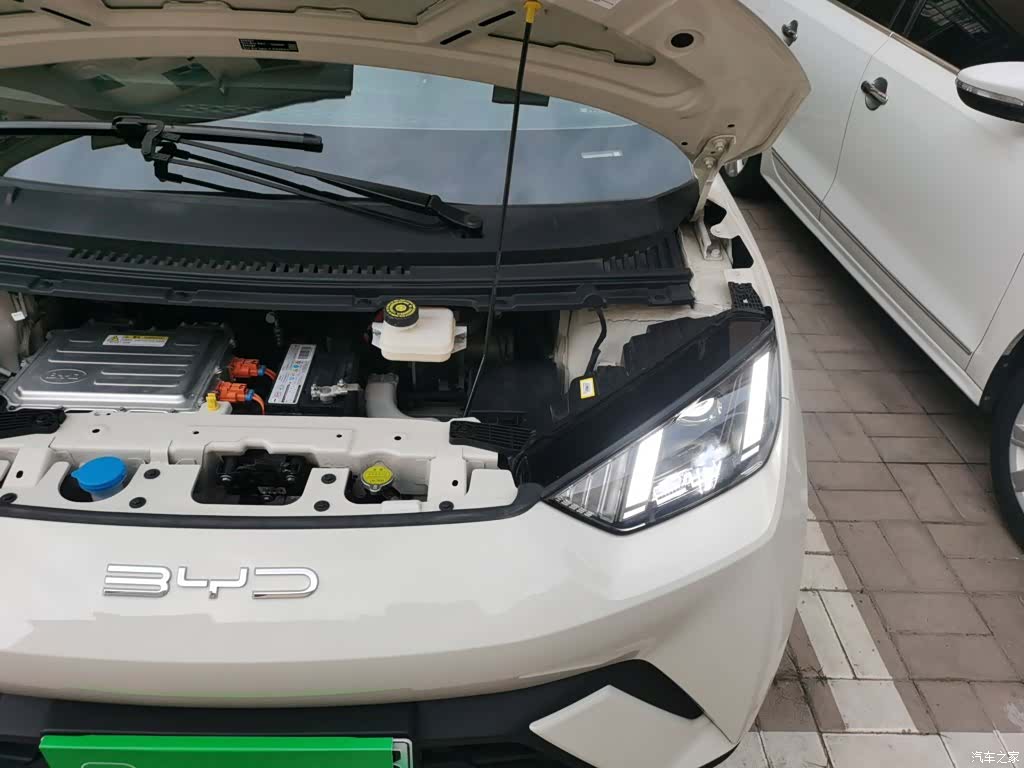 BYD Seagull, 2023 22