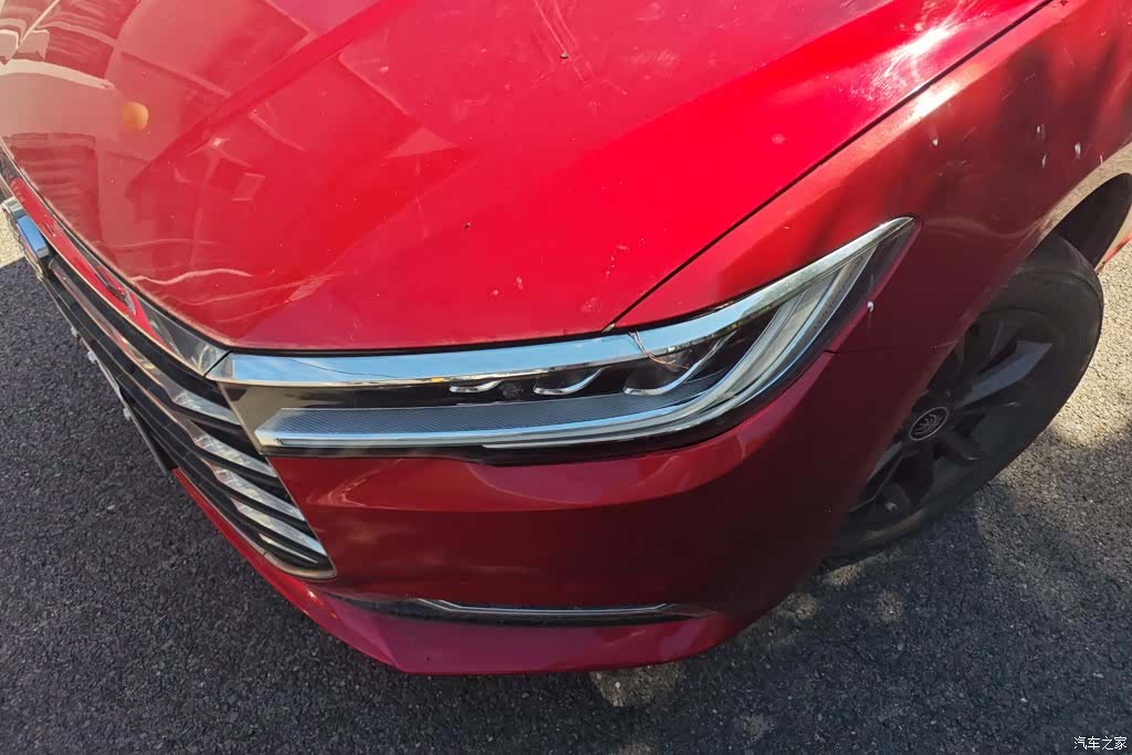 BYD Qin, 2019 все фото