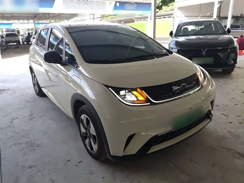 BYD dolphin