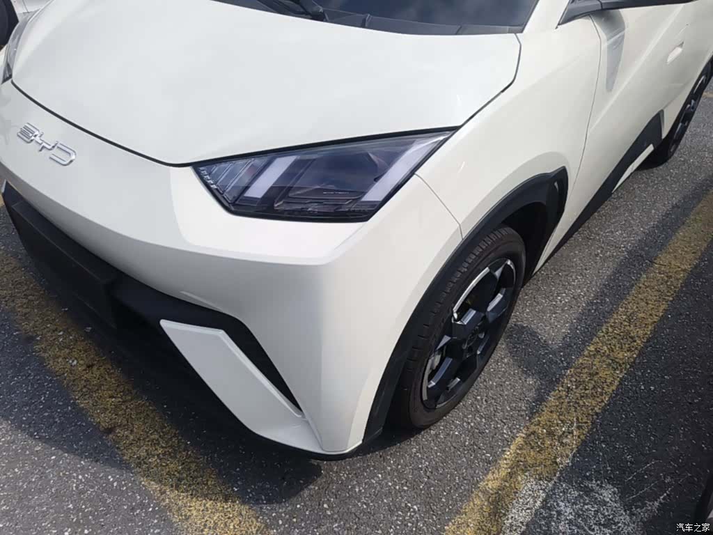BYD Seagull, 2024 24