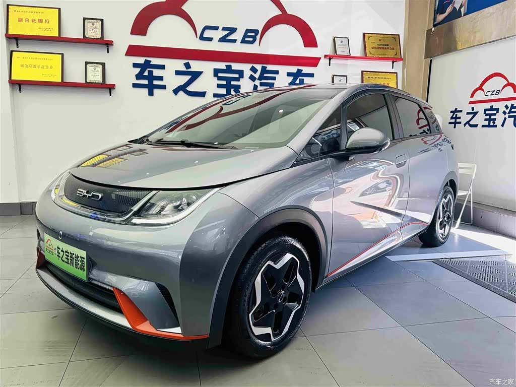 BYD Dolphin, 2022 1